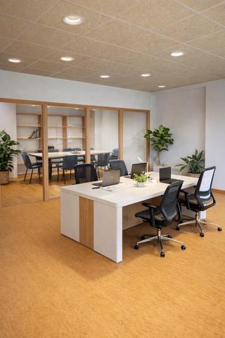 Bureaux avec grand parking et effet d'enseigne