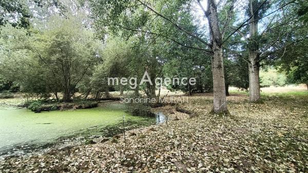 Terrain à RIVES D'ANDAINE, 61140 - 10100m²