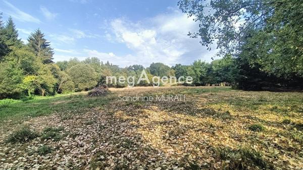 Terrain à RIVES D'ANDAINE, 61140 - 10100m²