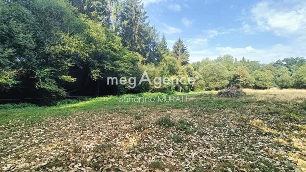 Terrain à RIVES D'ANDAINE, 61140 - 10100m²