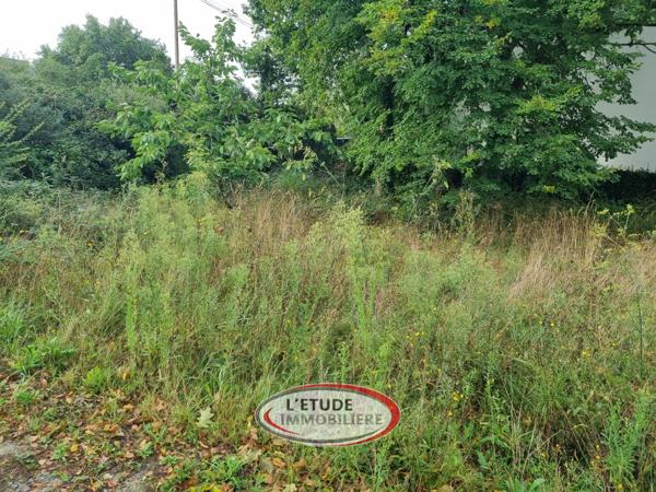 Sur les hauteurs de la Baule - Terrain 747m²