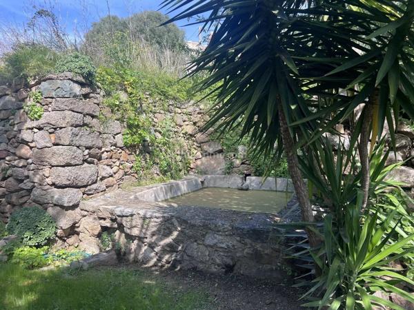 Vente                                                      Villa
                        
                     5 pièces                      128 m2                     à Lumio