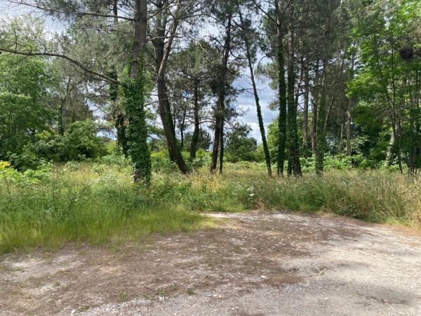 TAILLAN-MEDOC TERRAIN DE 989M2