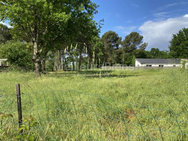TAILLAN-MEDOC TERRAIN DE 989M2