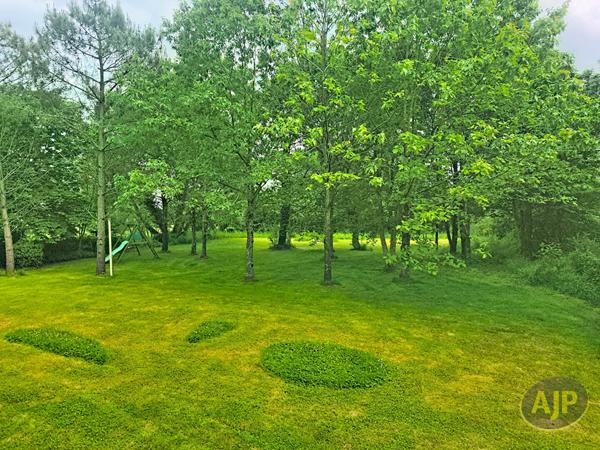 Vente maison Les Brouzils : 368 000 € - AJP Immobilier Montaigu