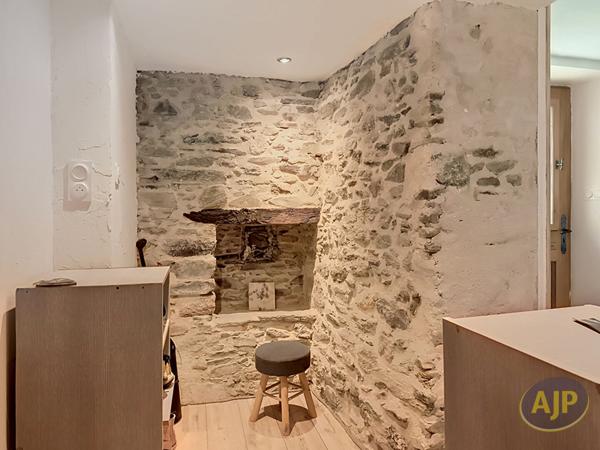 Vente maison Les Brouzils : 368 000 € - AJP Immobilier Montaigu