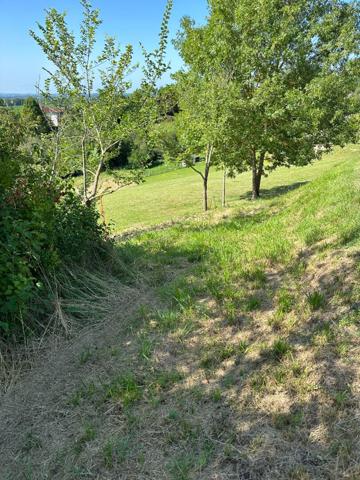 A VENDRE terrain constructible de 5031 m2 à Miramont d'Astarac