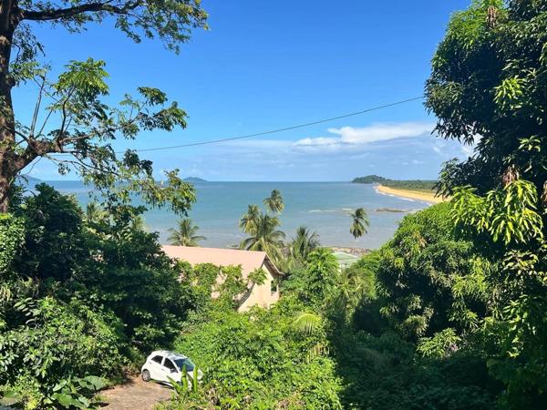 Immobilier Cayenne (97300) – Appartement 100m2 – 295 000 €