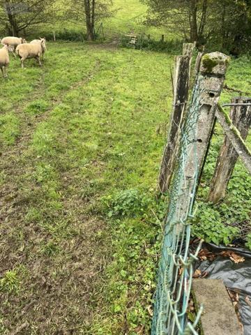 Maison à vendre à Courson dans le Calvados (14380), ref : 14076-5781