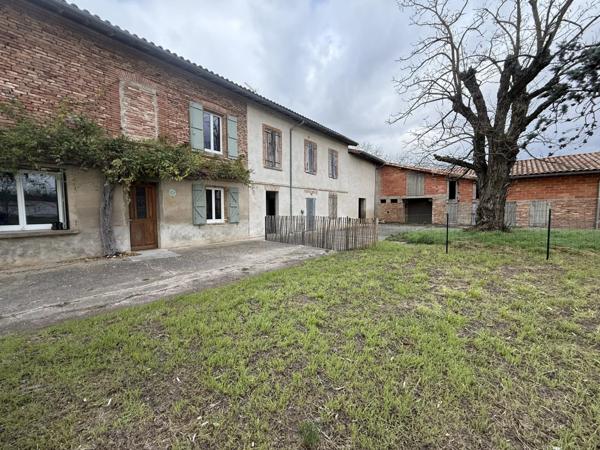 Location Maison 5 pièces 100 m2 à Lisle-sur-Tarn