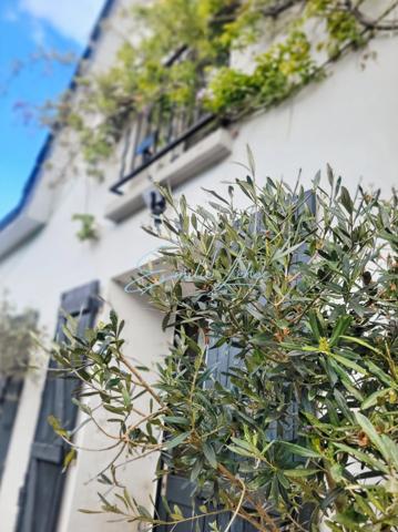 Bannalec - Longère rénovée, hangar et pièce indépendante, puit, serres, campagne proche commodités!