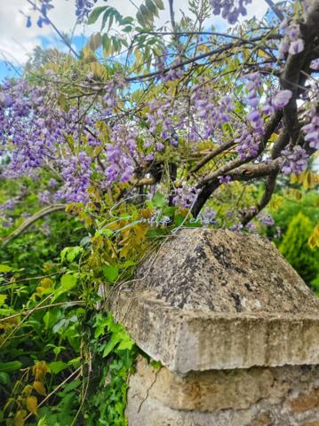 Bannalec - Longère rénovée, hangar et pièce indépendante, puit, serres, campagne proche commodités!