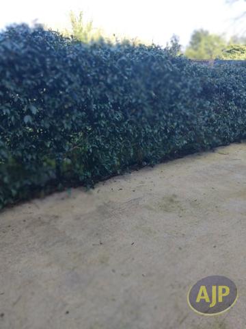 Vente maison Saint Sebastien Sur Loire : 176 220 € - AJP Immobilier Saint-Sébastien-sur-Loire