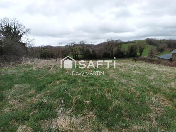 Un environnement paisible.