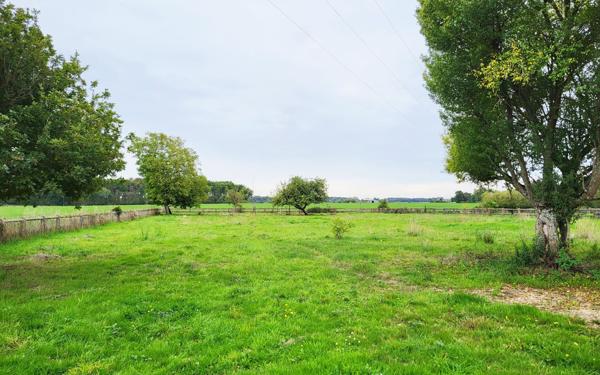 Terrain à vendre    Villeneuve-les-Genêts