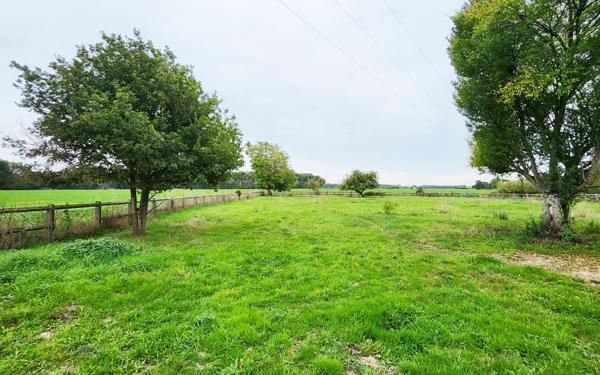 Terrain à vendre    Villeneuve-les-Genêts