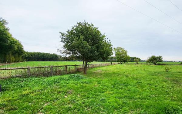 Terrain à vendre    Villeneuve-les-Genêts