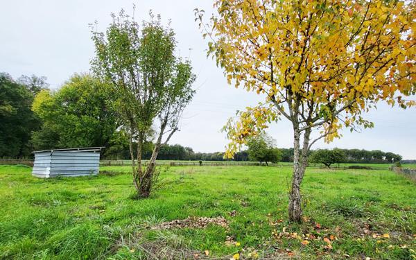 Terrain à vendre    Villeneuve-les-Genêts