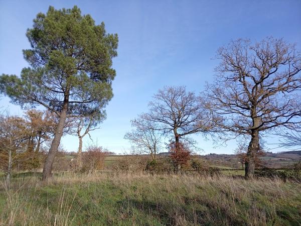 LONGÈRE HÉBERGEANT 2 HABITATIONS PLUS UNE MAISONNETTE SITUÉE AU CALME