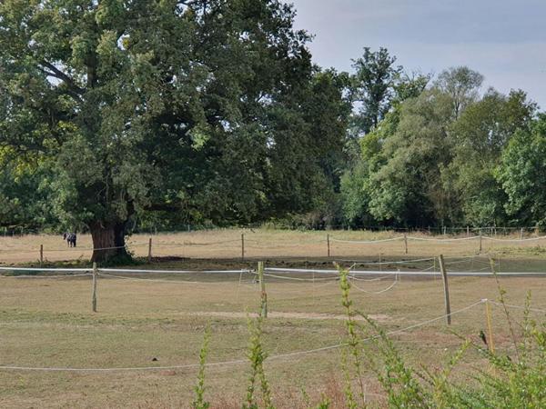 Corps de ferme  2 maisons, et dépendances diverses 11 pièce(s) 240 m2