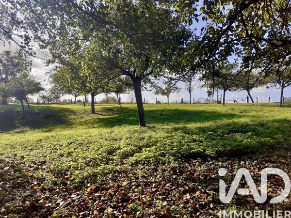 Maison à vendre 6 pièces 150 m² Saint-Pierre-en-Auge