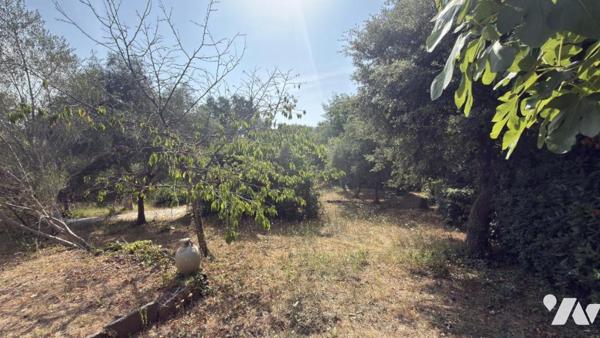 SAINT-AYGULF – Maison avec beau potentiel et jardin arboré