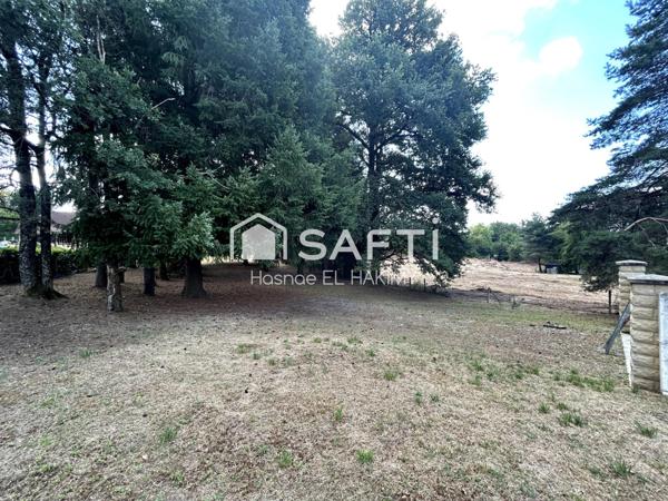 À VENDRE – Terrain constructible de 1 607 m² sur les hauteurs de Saint-Viance (19240)