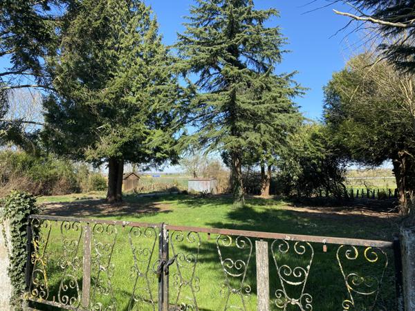 Piffonds (89330) PIFFONDS