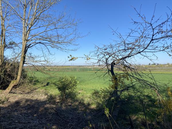 Piffonds (89330) PIFFONDS