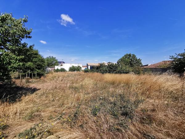 Maison 3 CH grand terrain constructible divisible