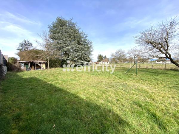 Maison 5 pièces - 131 m² Exclusivité efficity