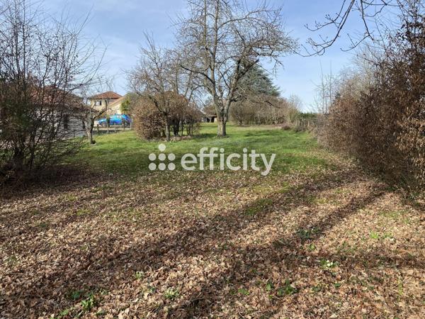 Maison 5 pièces - 131 m² Exclusivité efficity