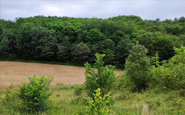 Terrain à vendre |  Trélissac |  1382 m²