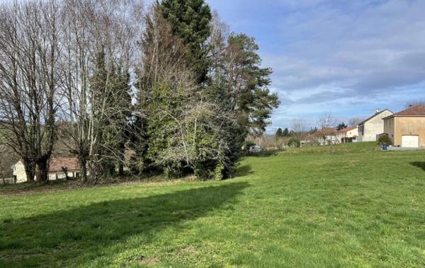 Vente Terrain Chateauneuf-la-foret   