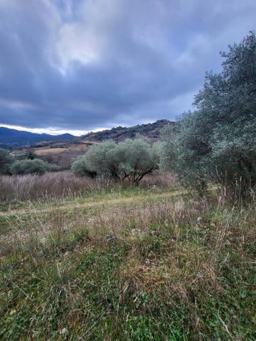 Pégairolles-de-l'Escalette (34700) Terrain Agricole avec Oliviers à Pegairolles de l’Escalette