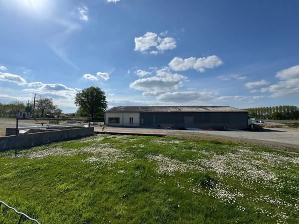 Terrain à JUVIGNE, 53380 - 5449m²