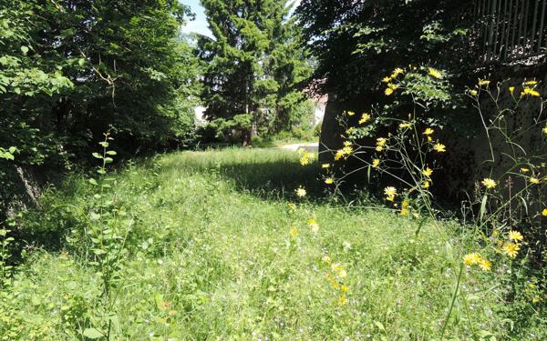 Terrain à vendre    Hauteville-Lompnes