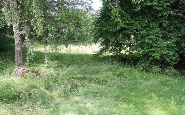 Terrain à vendre    Hauteville-Lompnes