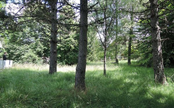 Terrain à vendre    Hauteville-Lompnes