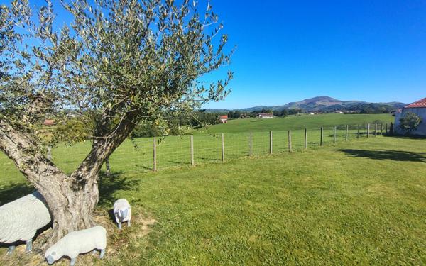 Maison à vendre    7 pièces • 185 m2 Espelette