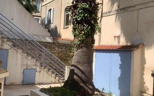 Appartement à louer    1 pièce • 24,72 m2 Nîmes