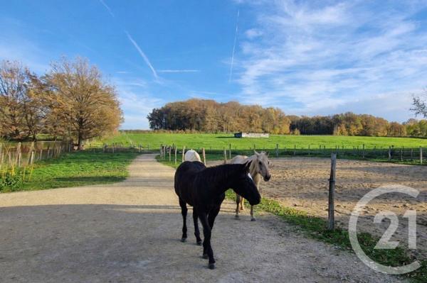 Maison à vendre  4 pièces - 133 m2 ST NIZIER LE BOUCHOUX - 01