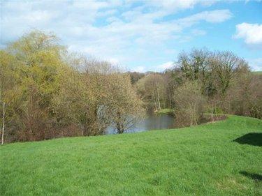Terrain de loisirs - Bois - Etang à vendre à Nuillé-sur-Vicoin en Mayenne (53970), ref : 53032-957