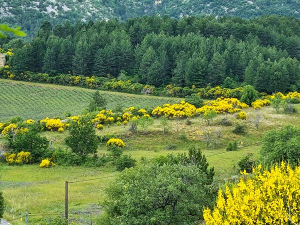 Aurel (84390) Ancienne demeure rénovée à la vue époustouflante !