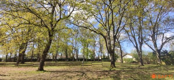 Terrain de Loisirs en Bord de Mer avec Potentiel Touristique