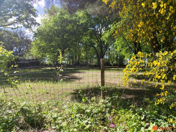 Terrain de Loisirs en Bord de Mer avec Potentiel Touristique