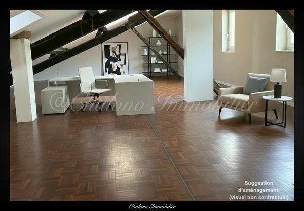 Béziers (34500) DEPT 34 - BEZIERS - Grand T5/Duplex avec balcon sur parc et stationnement privatif en centre-ville de Béziers