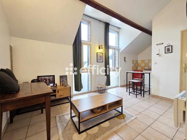 Appartement 1 pièce - 22 m² Exclusivité efficity