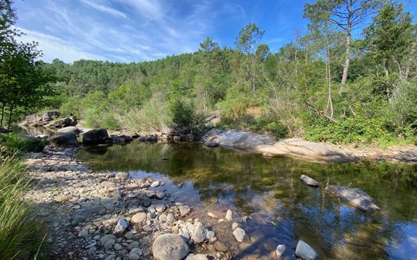 Maison à vendre    19 pièces •  Gagnières