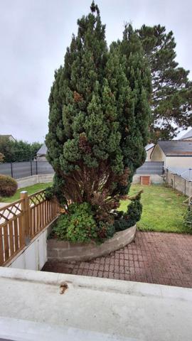 Location maison Trignac : 1 450 € - AJP Immobilier Saint-Nazaire